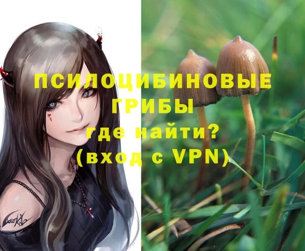 спиды Балахна